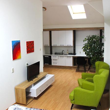 Krasny Priestranny Slnecny Apartman V Centre Mesta Тренчин Экстерьер фото