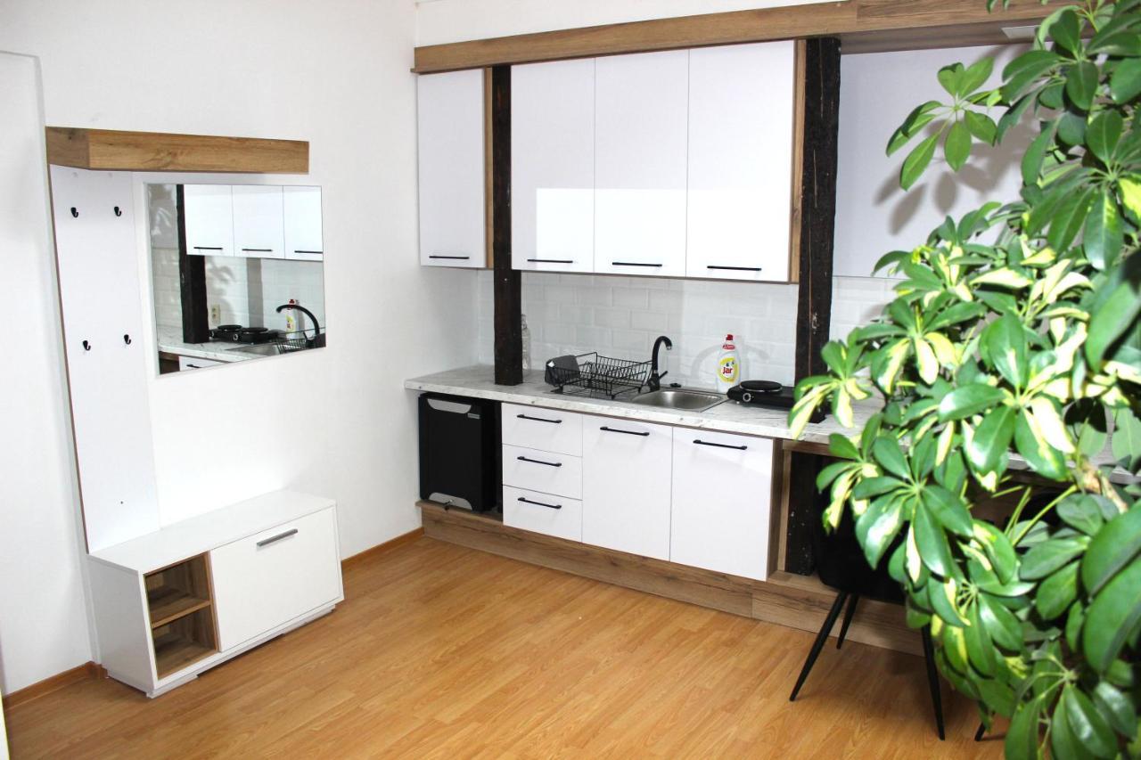 Krasny Priestranny Slnecny Apartman V Centre Mesta Тренчин Экстерьер фото