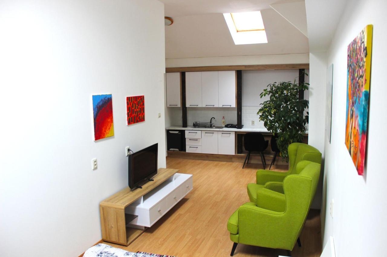 Krasny Priestranny Slnecny Apartman V Centre Mesta Тренчин Экстерьер фото